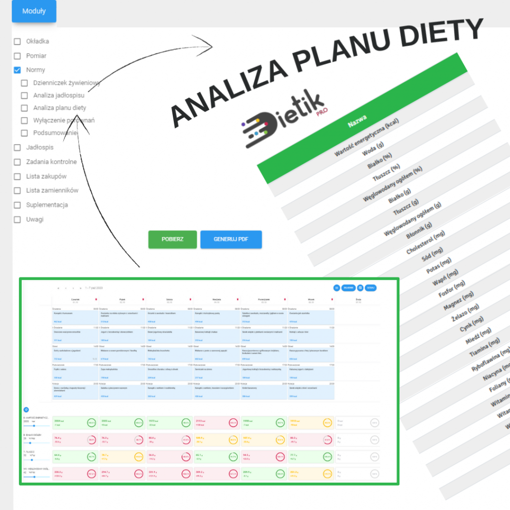 Analiza planu diety
